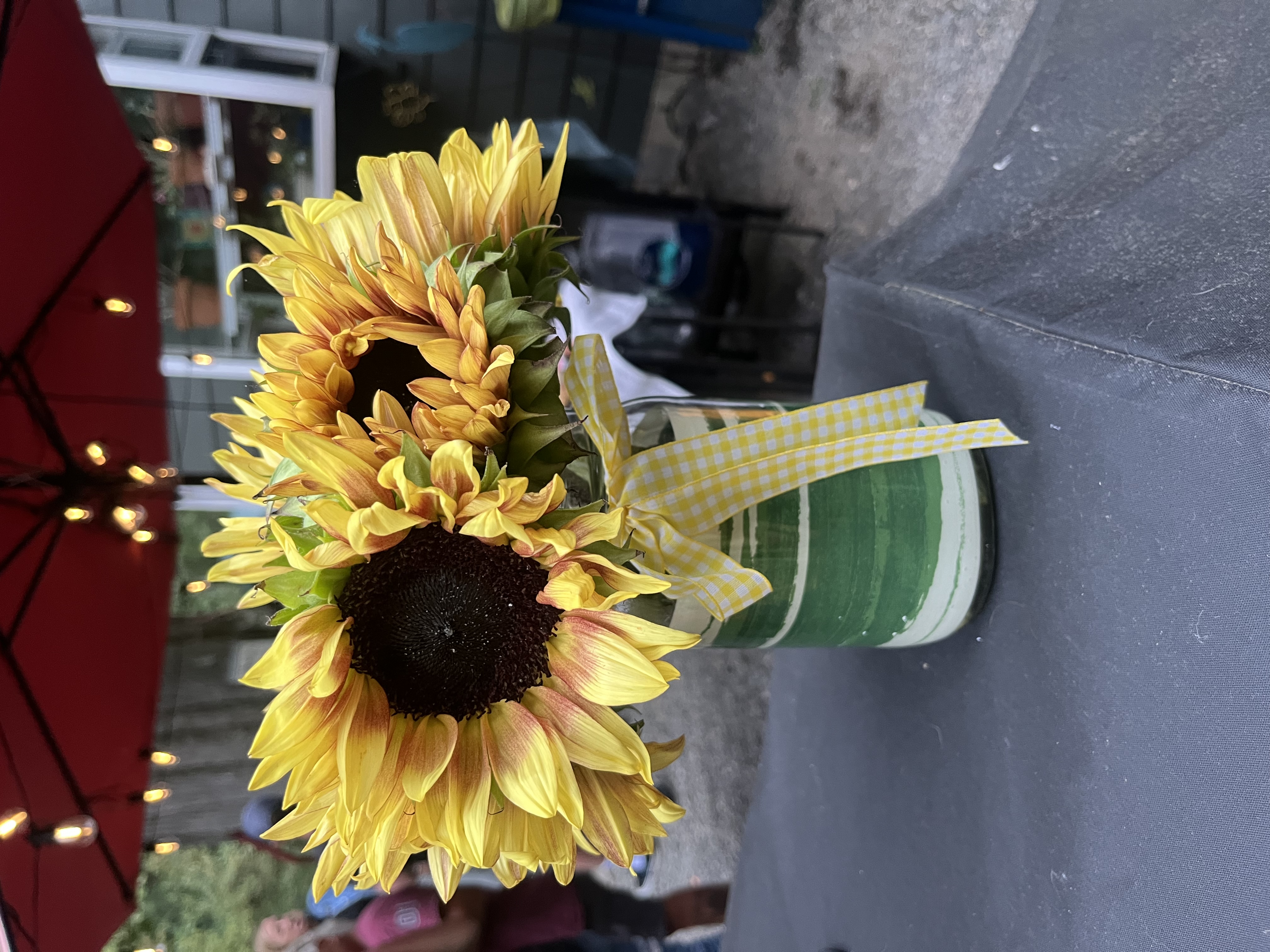 Bright yellow sunflowers with yellow gingham ribbon in a vase